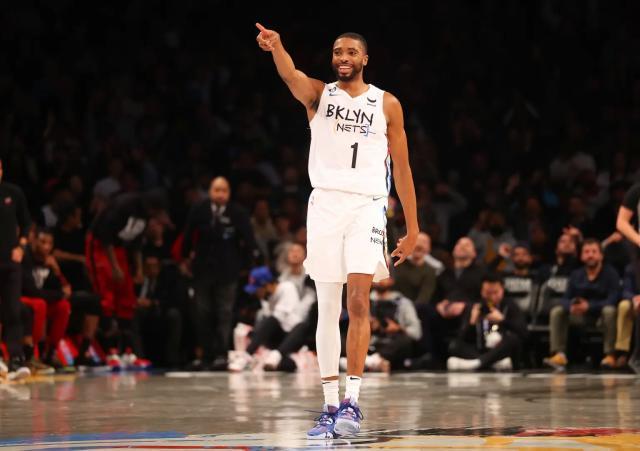 netsbridges.jpg